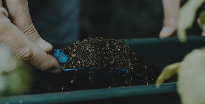 科技文化融合创新