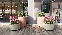 户外花箱绿植如何搭配?