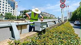 江西高架桥花盆：从“空中花廊”看立体绿化实践