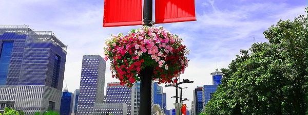 新官网产品详情页展示图3