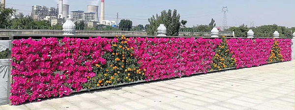 新官网产品详情页展示图5