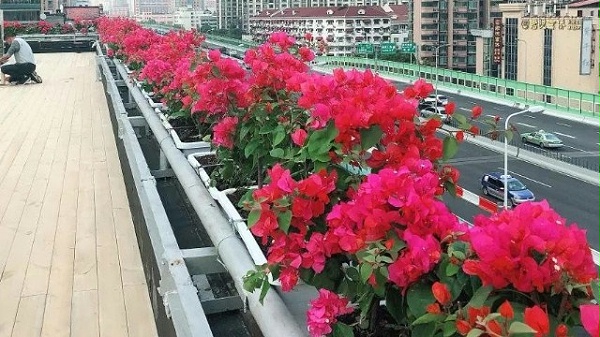 高架桥蓄水花盆