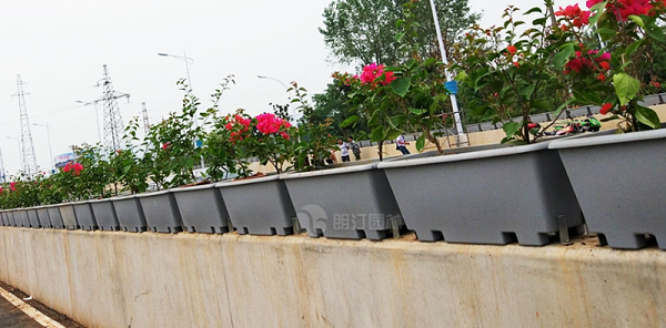 微信截图_20241024155613