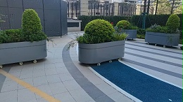 合肥滨湖小区花箱改造案例：从单调步道到四季花境的品质升级
