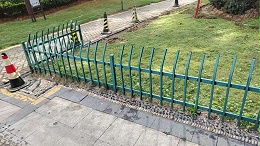 公园拍照总被铁栏杆毁氛围？市民呼吁换成隔离花箱护栏，既安全又出片！