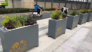 合肥西站周边景观花箱提升采用了哪些绿化解决方案？