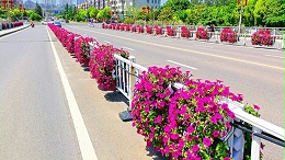 高架桥蓄水花盆