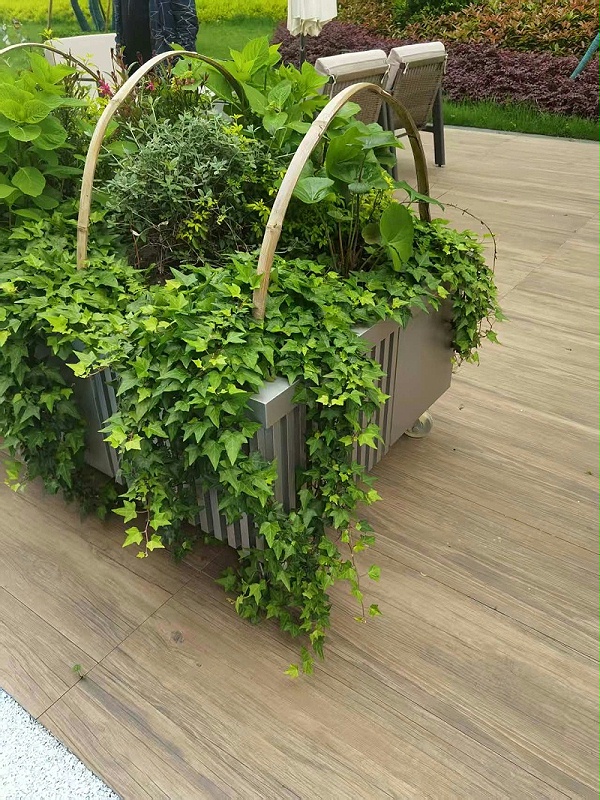 花箱绿植