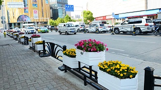 市政/城市道路花箱：择选有方，绿意生辉！