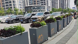 合肥西站花箱案例：高铁枢纽的绿色风景线