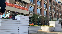 校园绿化微改造参考这篇