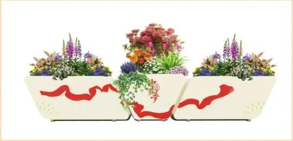 微信截图_20240828083819