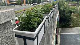 成都护栏花盆案例：二环空中花廊立体绿化成功实践