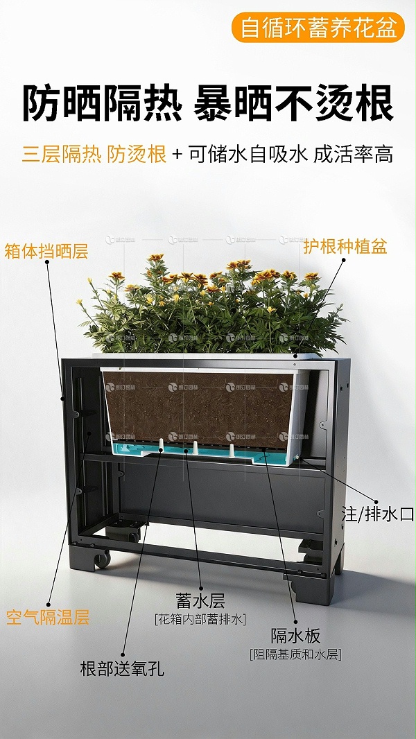 详情6