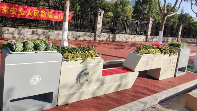 固始县人民政府两侧景观改造提升案例！