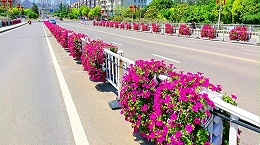 高架桥花盆价格对比：不同材质到底差在哪？一篇看懂不锈钢/玻璃钢/PP塑料怎么选