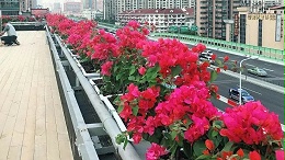 高架桥花盆多少钱一个？2026年最新报价清单