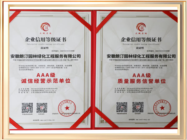 企业信用等级证书