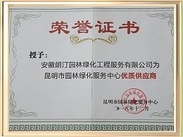优质供应商荣誉证书