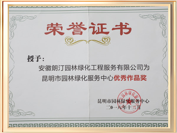 优秀作品奖荣誉证书