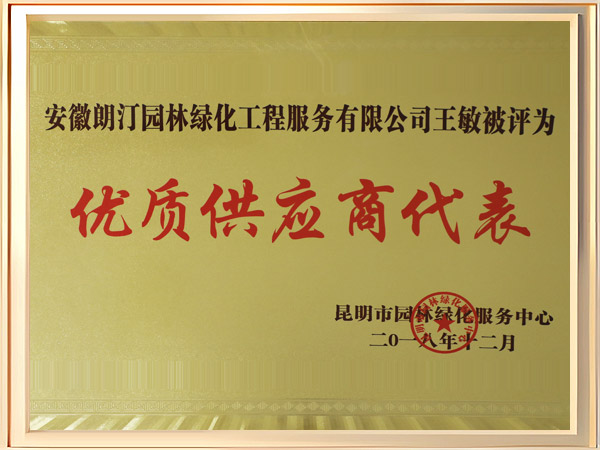 优质供应商代表荣誉证书