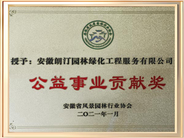 公益事业贡献奖证书