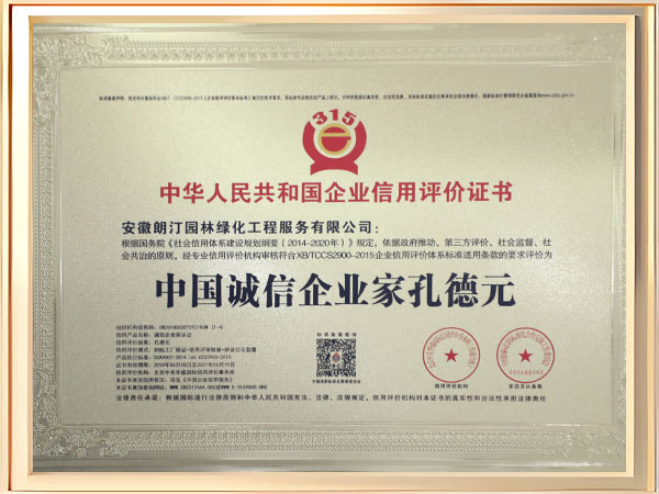 中国诚信企业家证书