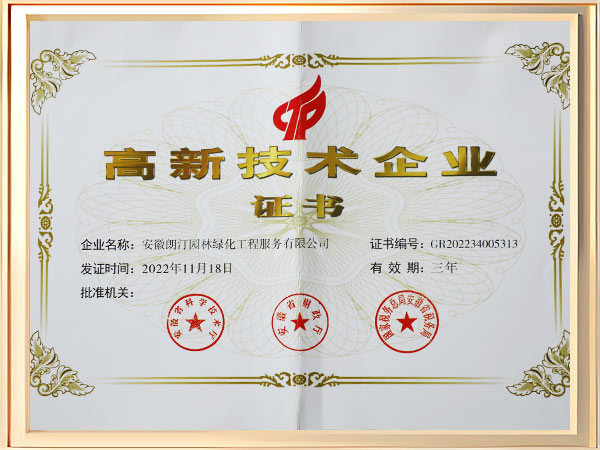 高新技术企业证书