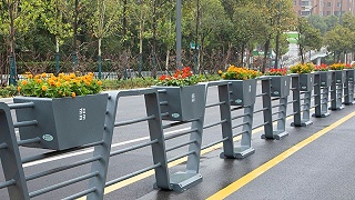 揭秘马路花箱：你看到的“常开不败”的鲜花，到底多久换一次？