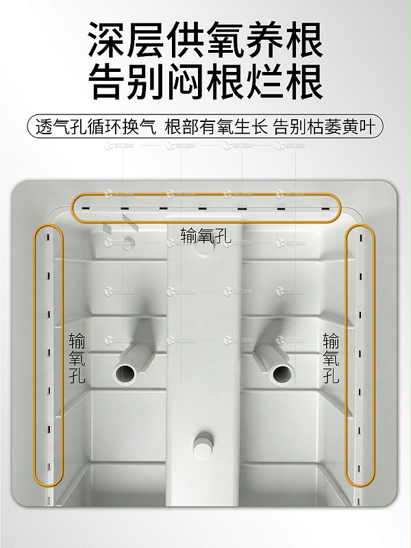 详情7