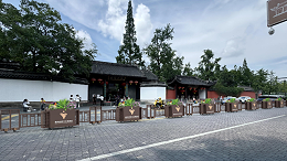 当花箱长出“礼”的轮廓|衢州孔庙，生出有文化的界