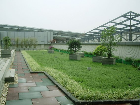 20080508143422_large